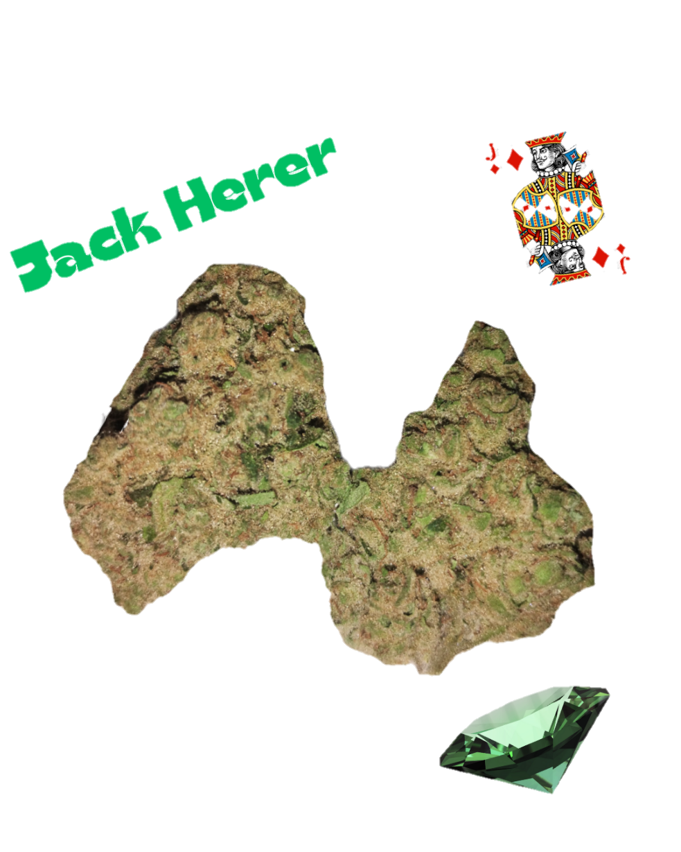 Jack Herer- Diamond Tier -THCa- Sativa / 1/8th